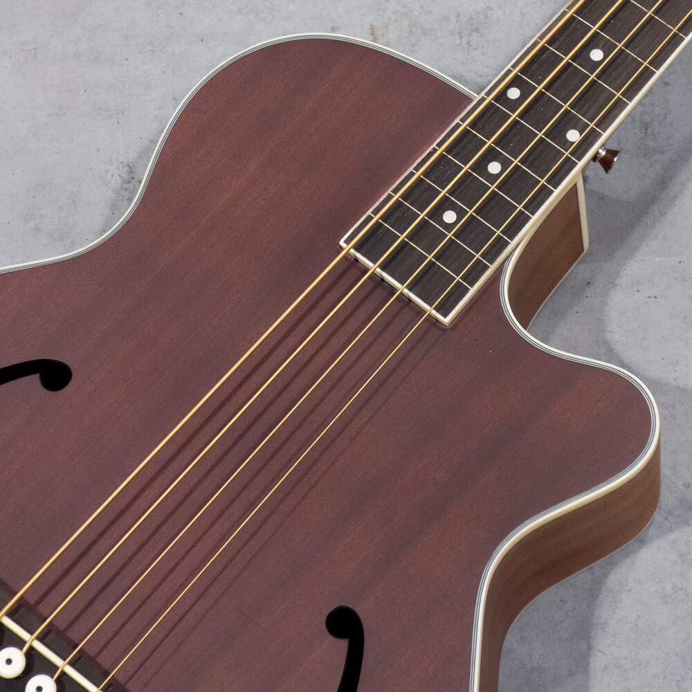 Amazon.co.jp: URIEL UNB-200F CE Fretless WN [Ultimate Reasonable